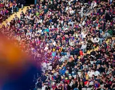 C7娱乐官网-阿拉维斯主场失利，保级形势严峻的简单介绍